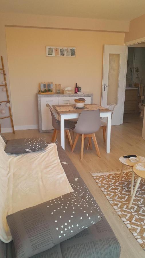 Chateauroux : Bel Appartement Avec Balcon Εξωτερικό φωτογραφία